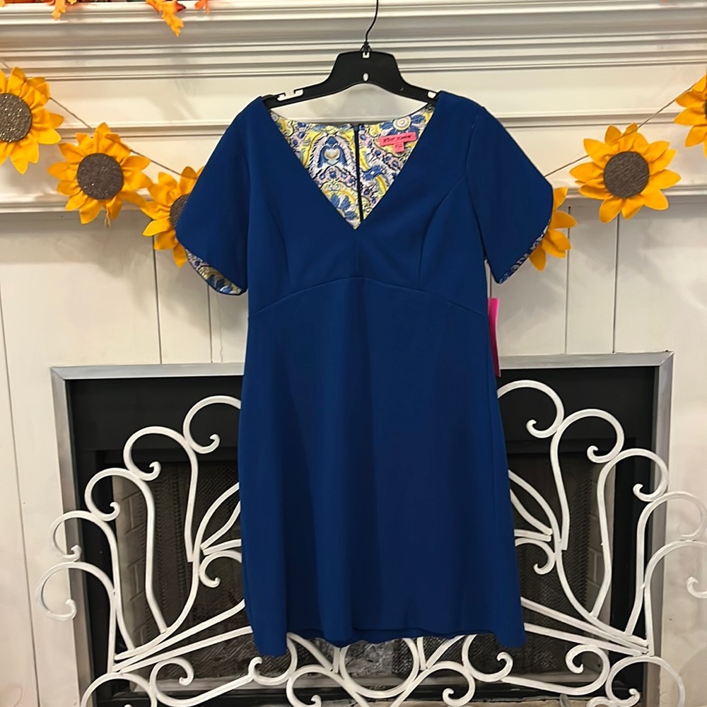 Betray Johnson blue lines zipper dress.